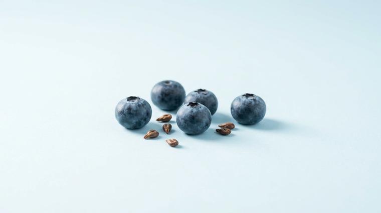 Grape Seed & Bilberry