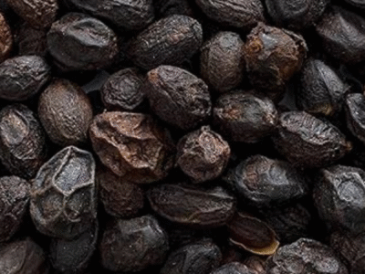 Saw Palmetto Berries